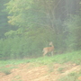Dsc02043