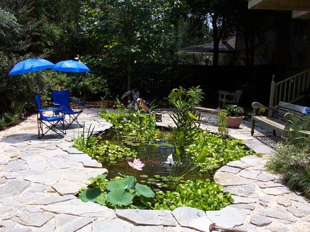 pond