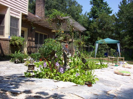 Back Garden
