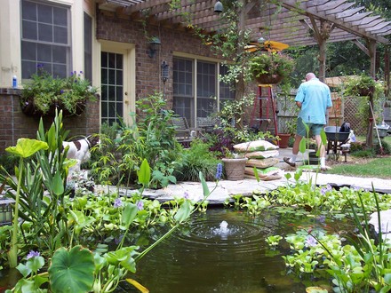 Pond with hubby in background