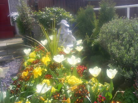 front garden