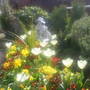 The_patch_394