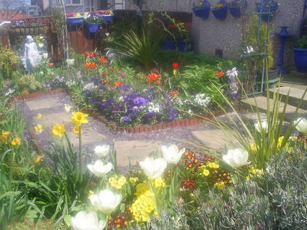 front garden