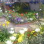 The_patch_399