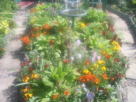back garden