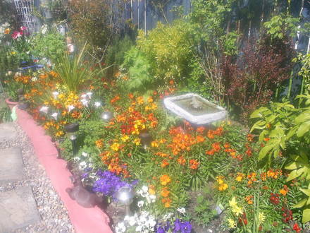 back garden may 08