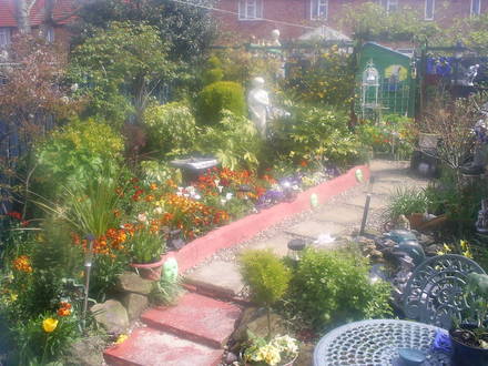 back garden may 08