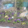 The_patch_386