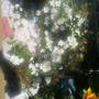 The_patch_383