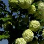 Pict0964