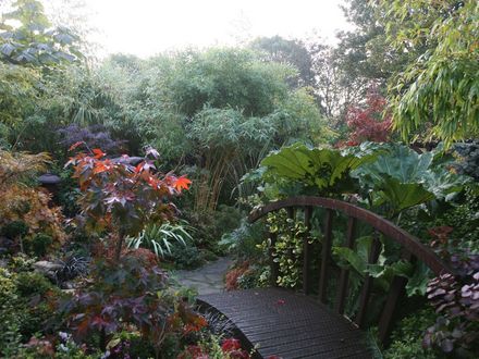 BLOG_17__17_.jpgFour Seasons garden