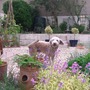 A garden flower photo