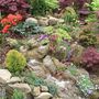 Blog_16_first_stream_1