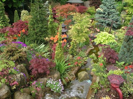 Blog_16_first_stream_4.jpg