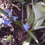 2008-05-02_009