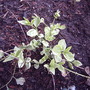 2008-05-02_049