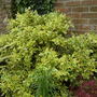 Sat_3_may_001