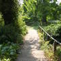 beth chatto gardens