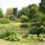 beth chatto gardens 