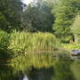 beth chatto gardens