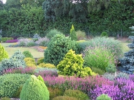 Foxhollow garden view