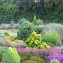 Foxhollow garden view
