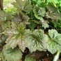 Sat_3_may_023
