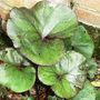 Sat_3_may_013