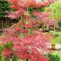 Sat_3_may_019