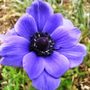 Sat_3_may_022