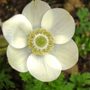 Sat_3_may_021