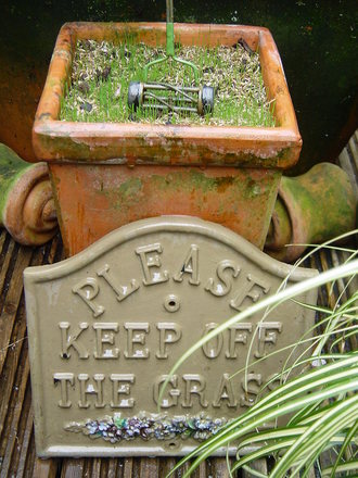 The lawn at 28 Kensington Road.