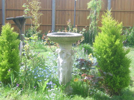 28th_April_08_057.jpg