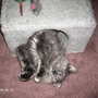 Captured_2005-8-14_00000