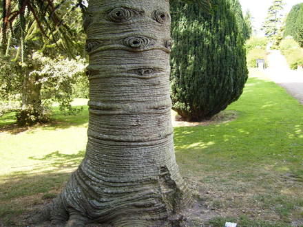 Can you see a face?