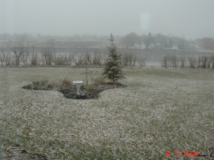What I woke up to on May 4, 2008 !