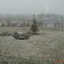 What I woke up to on May 4, 2008 !