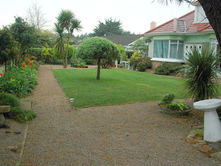 view from behind the tree