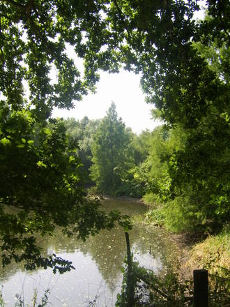 The beth chatto gardens