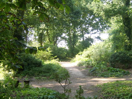 The Beth chatto gardens