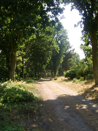 the beth chatto gardens