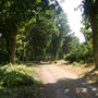 the beth chatto gardens