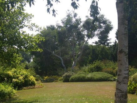the beth chatto gardens
