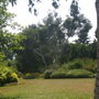 the beth chatto gardens