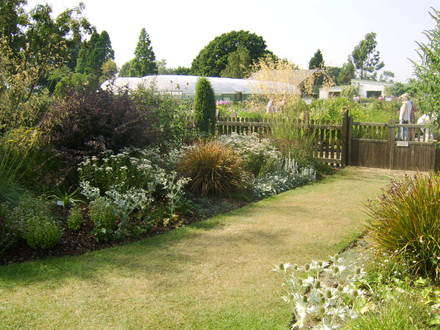 the beth chatto gardens