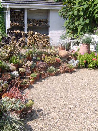 the beth chatto gardens