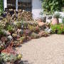 the beth chatto gardens