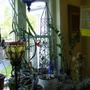 New obelisk for a Caudiciform plant