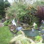 New Pond