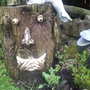 Tree People